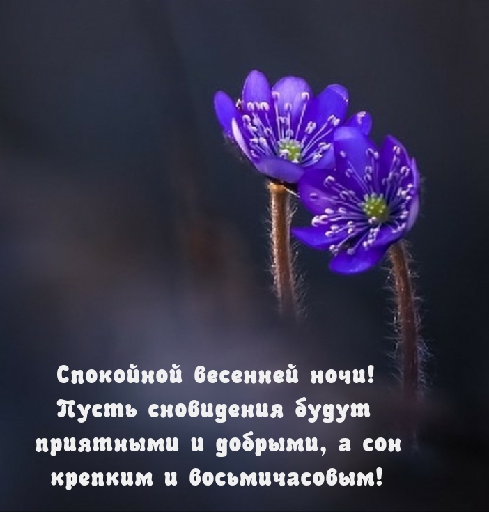 ��������� �������� ����! ����� ���������� ����� ��������� .