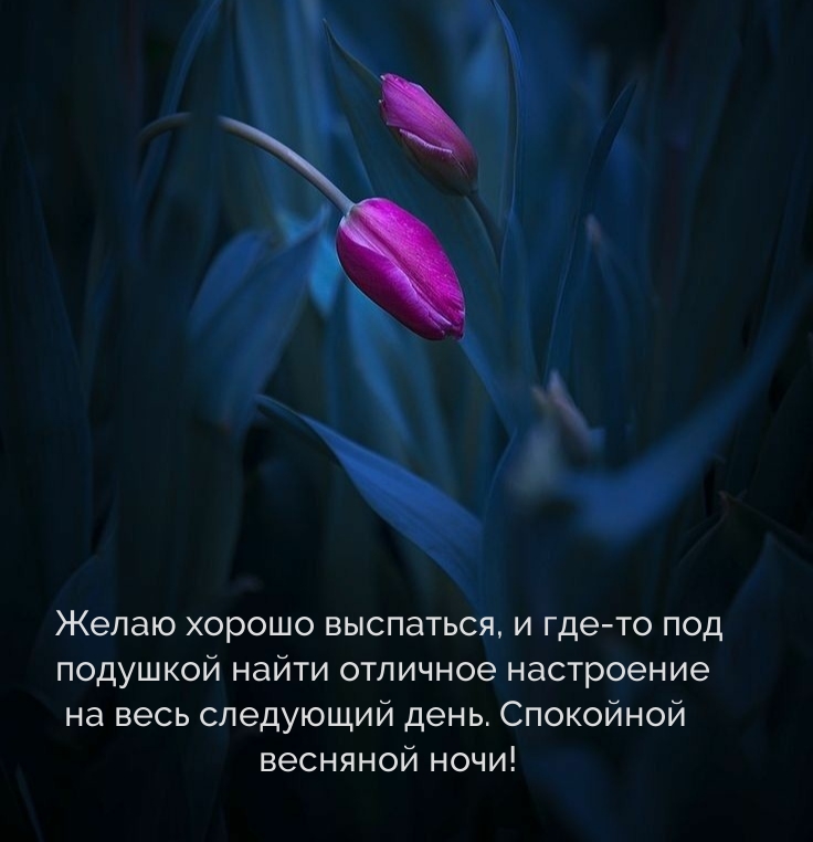 ��������� �������� ����! ����� ������ ���������.