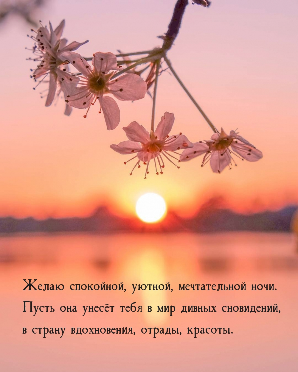 ����� ���������, ������, ������������ ����..