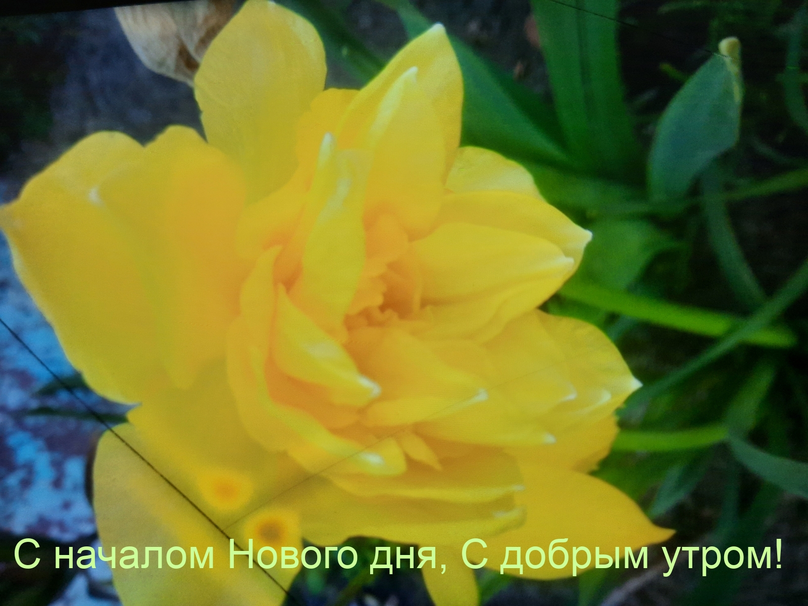 � ������� ������ ���, � ������ �����! - �������� � ���������