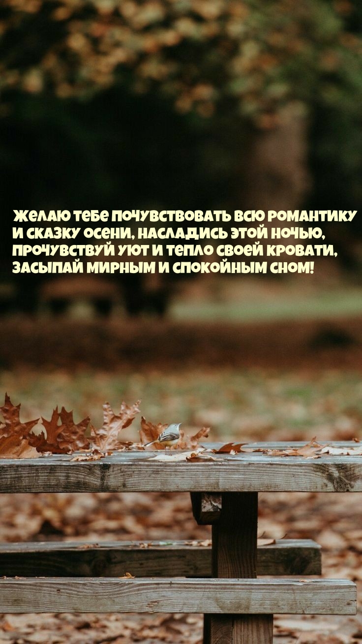 �����  ������������� ��� ��������� � ������ ����� - �������� � ���������