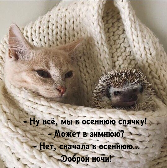 ������ ����! - �� ��, �� � ������� ������!.