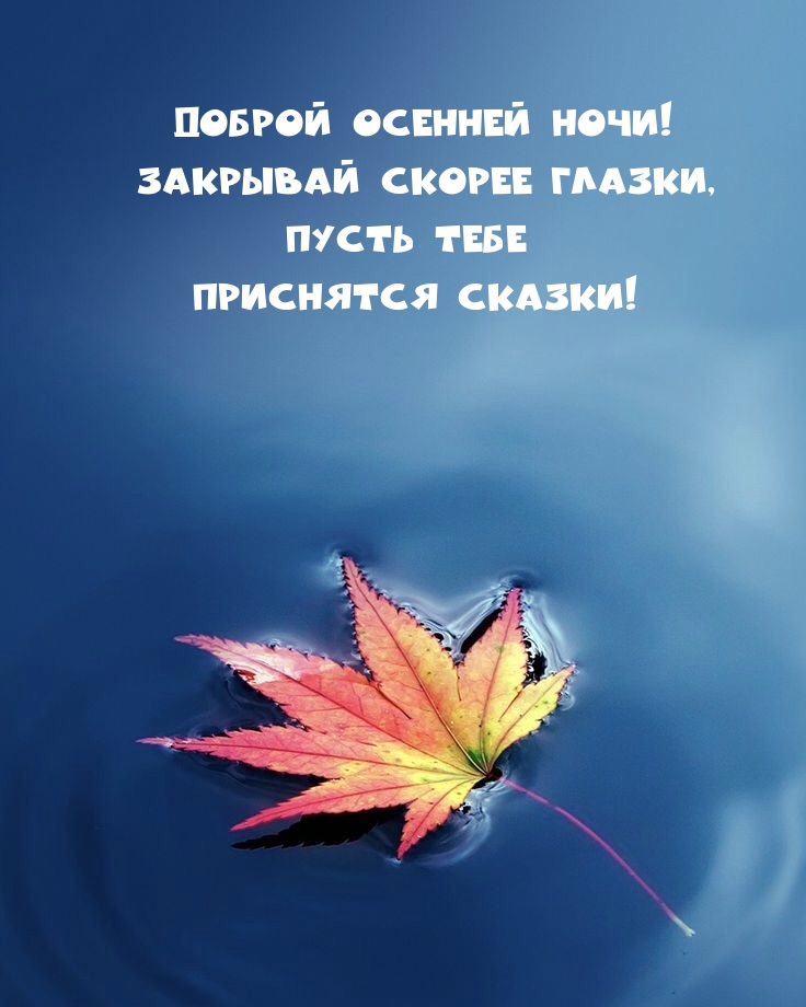 ������ ������� ����! �������� ������ ������