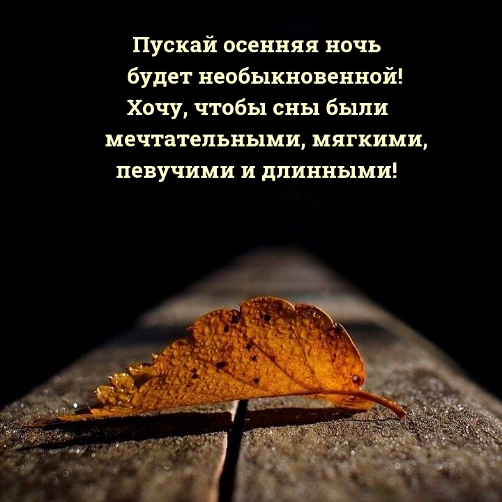 ������ ������� ���� ����� ��������������! 