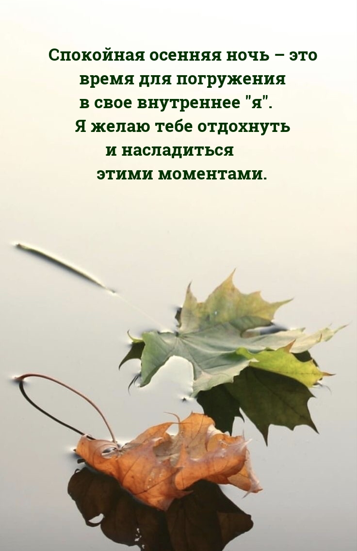 ������� ���� � ��� ����� ��� ���������� � ���� ���������� "�". .