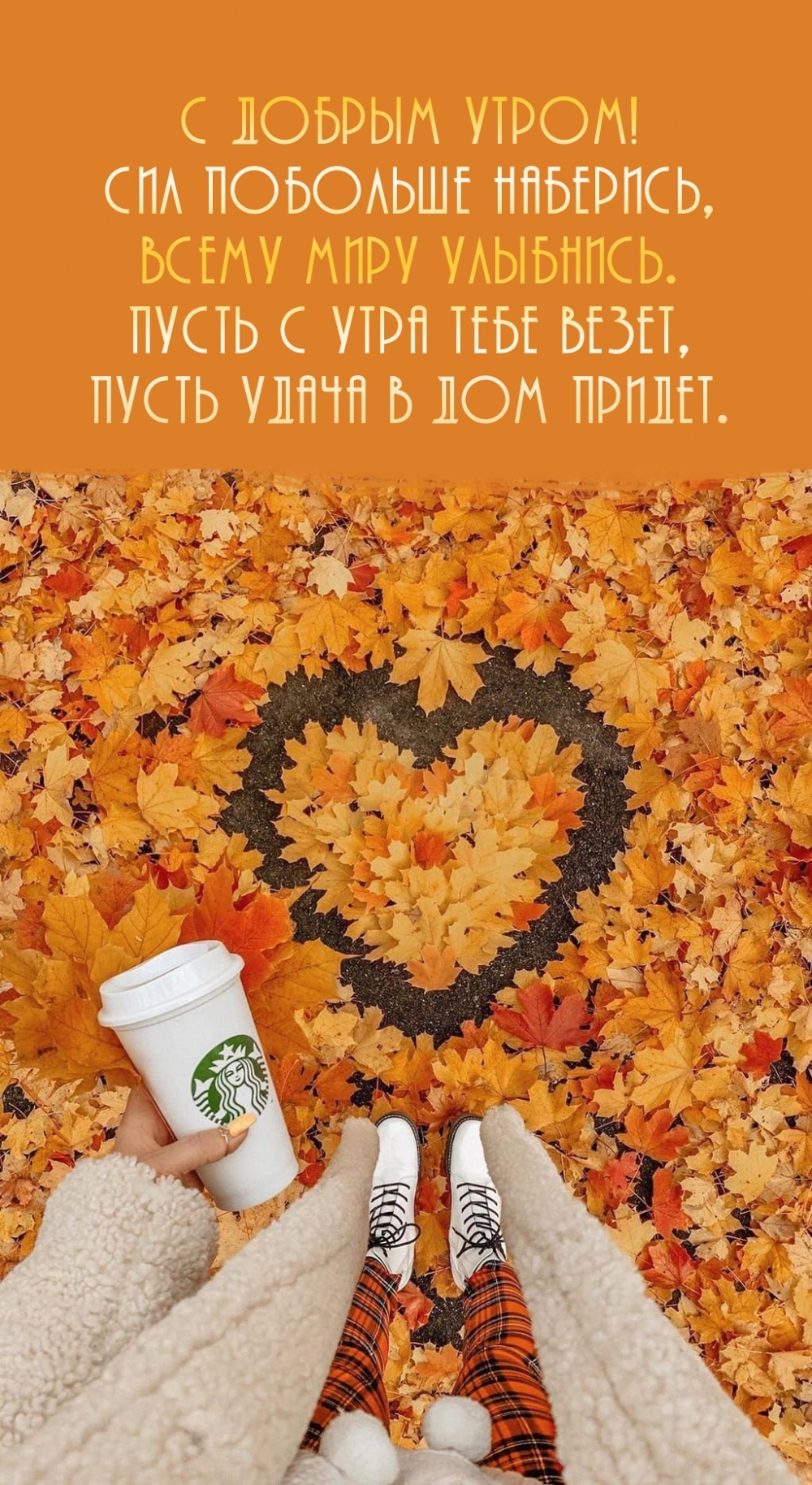 � ������ �����! ��� �������� ��������, ����� ���� ��������.