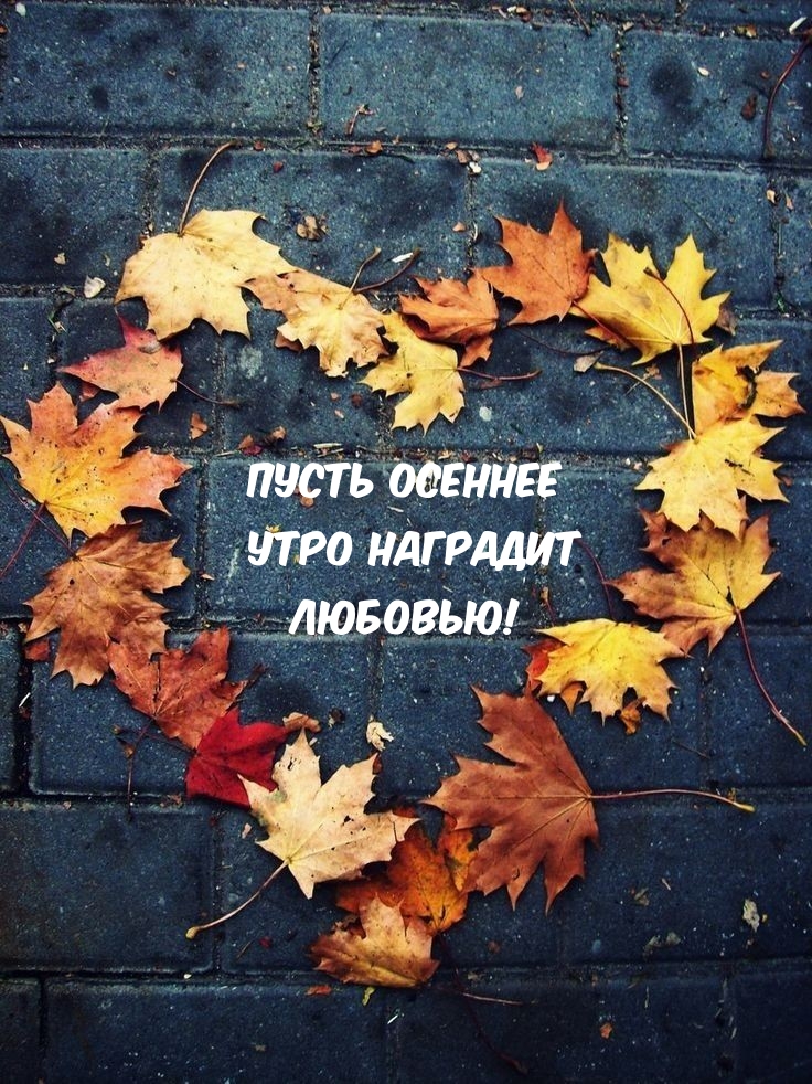 ����� ������� ���� �������� �������!