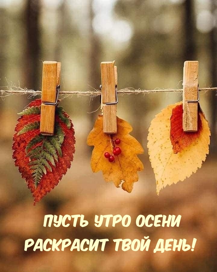 ����� ���� ����� ��������� ���� ����!