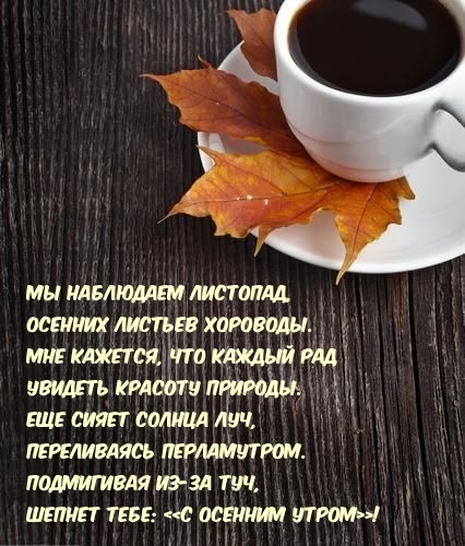 �� ��������� ��������, ������� ������� ��������. �� ������� �����!