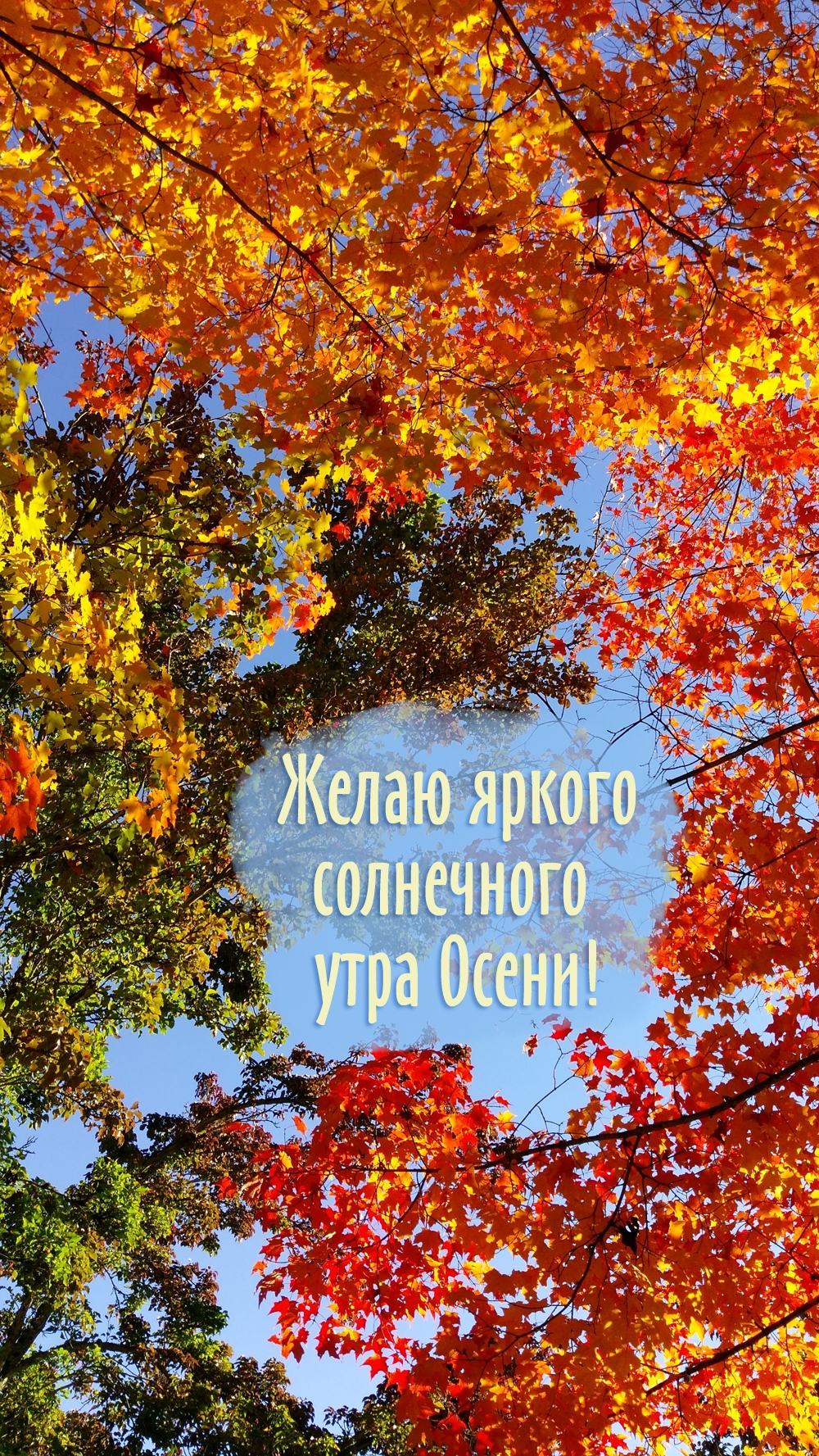 ����� ������ ���������� ���� �����!