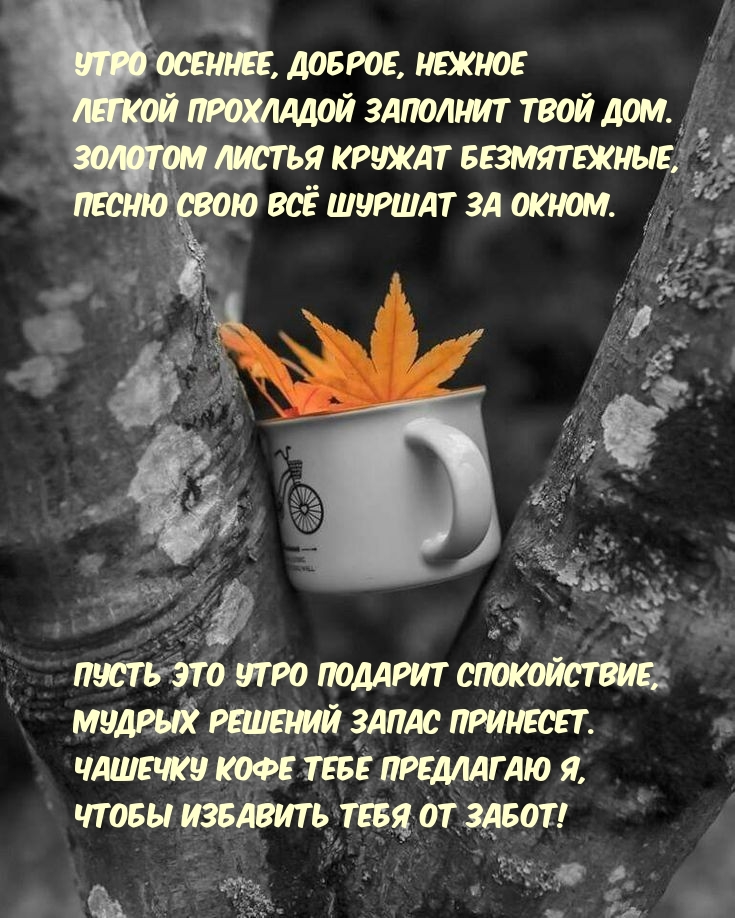 ���� �������, ������, ������ ������ ��������� �������� ���� ���.
