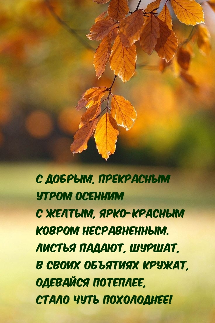 � ������, ���������� ����� ������� � ������, ����-�������  