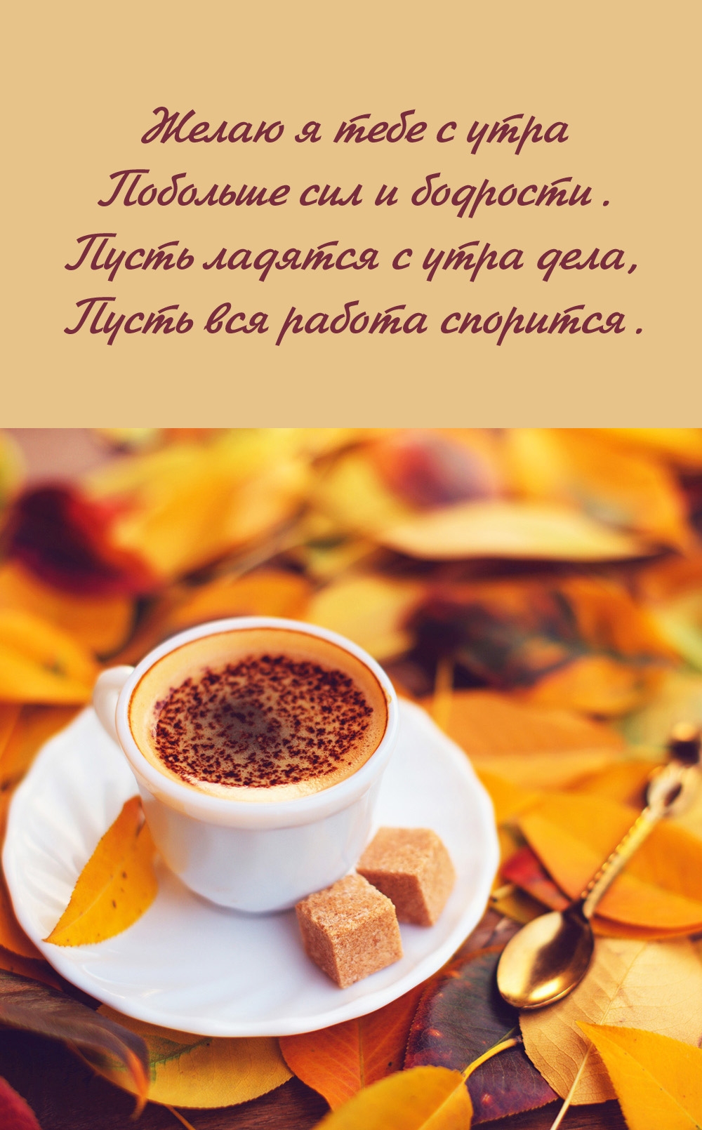 ����� � ���� � ���� �������� ��� � ��������.