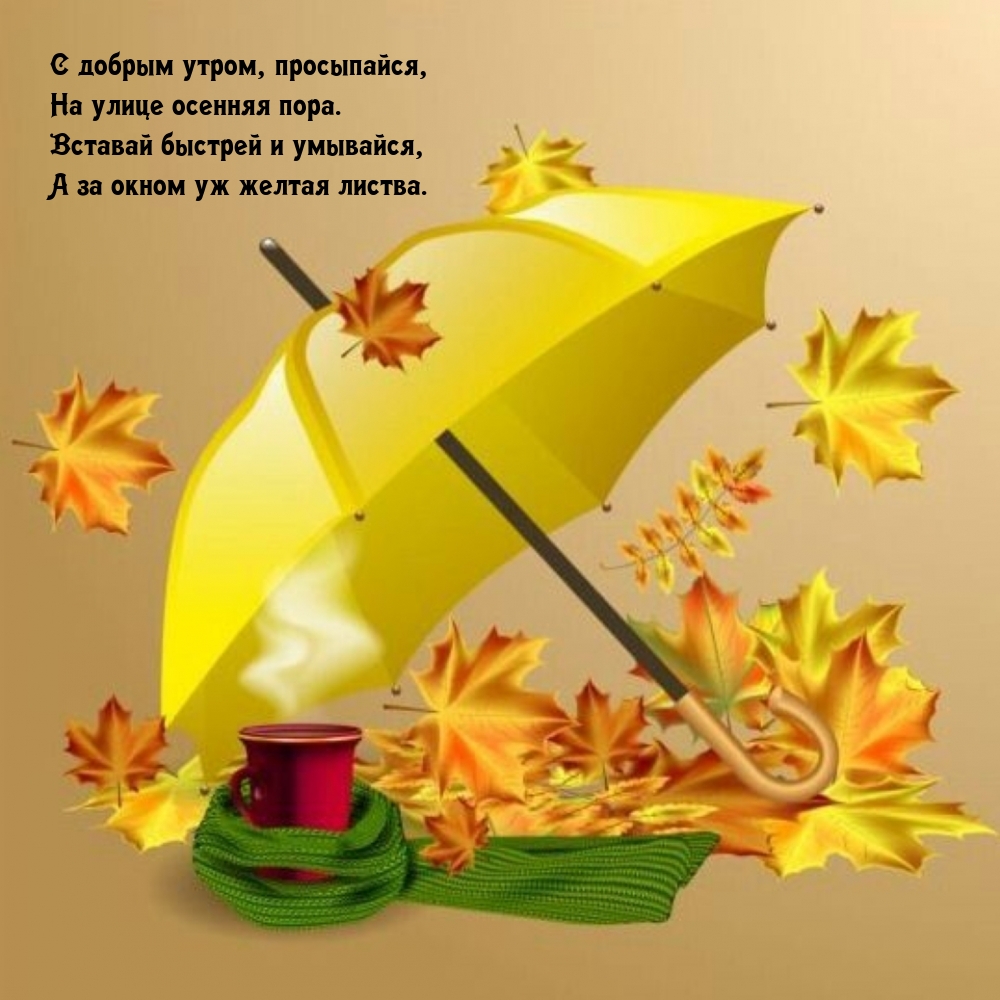 � ������ �����, ����������, �� ����� ������� ����.