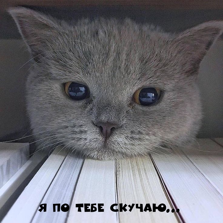 � �� ���� �������