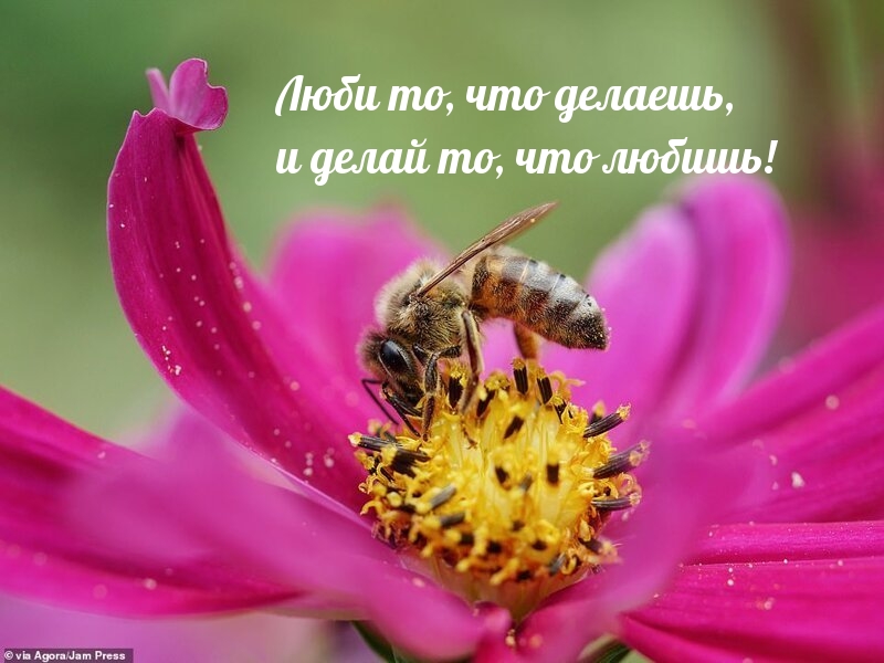 ���� ��, ��� �������, � ����� ��, ��� ������!.