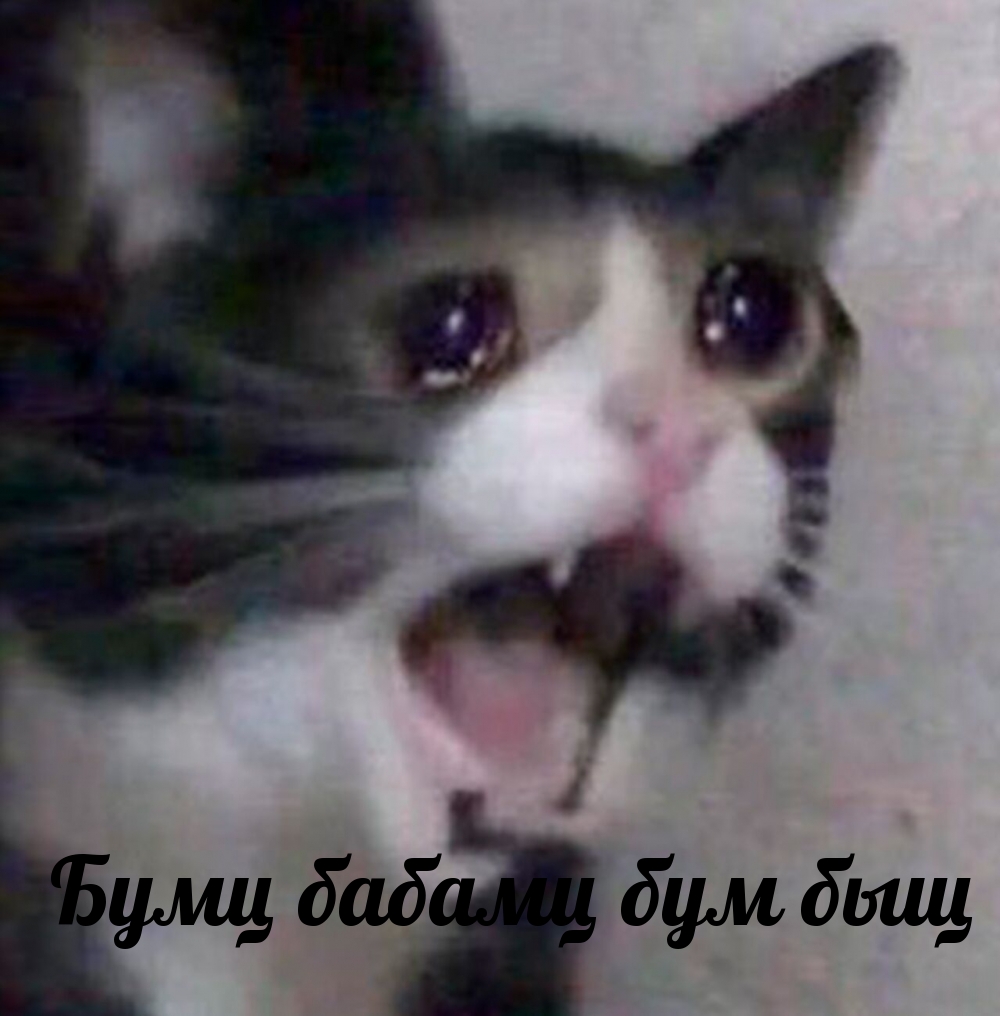 ���� ������ ��� ���