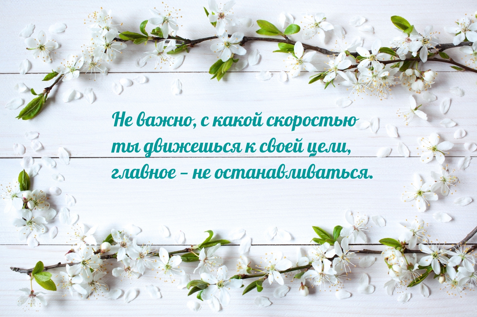 �� �����, � ����� ��������� �� ��������� � ����� ����