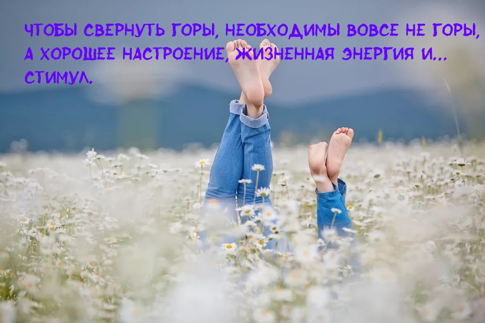 ����� �������� ����, ���������� �� ����, � ������� ����������