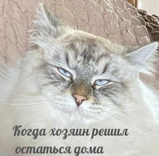����� ������ ����� �������� ����