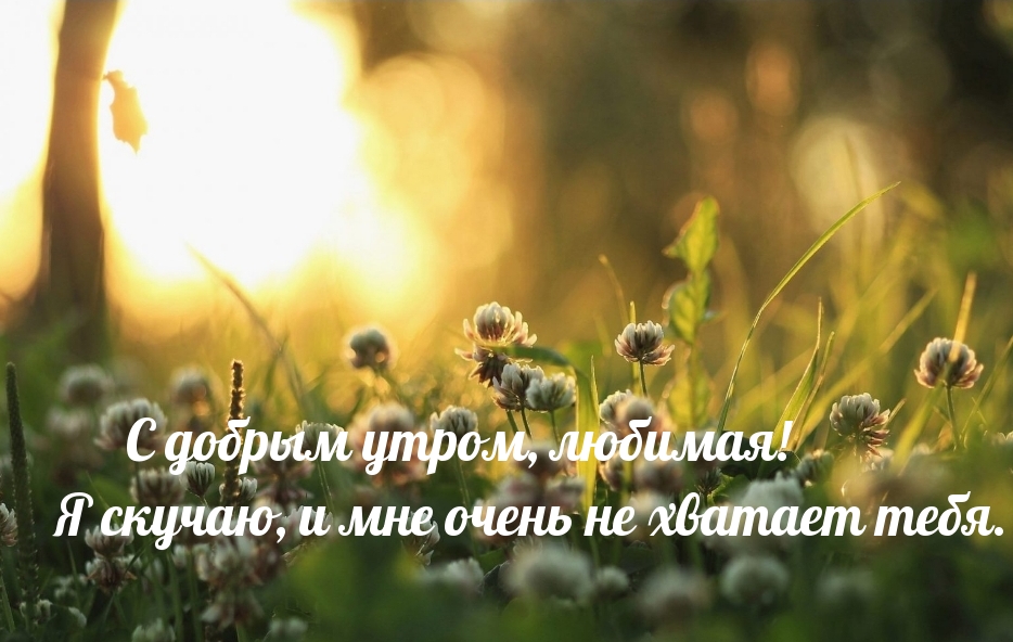� ������ �����, �������! � ������, � ��� ����� �� ������� ����..