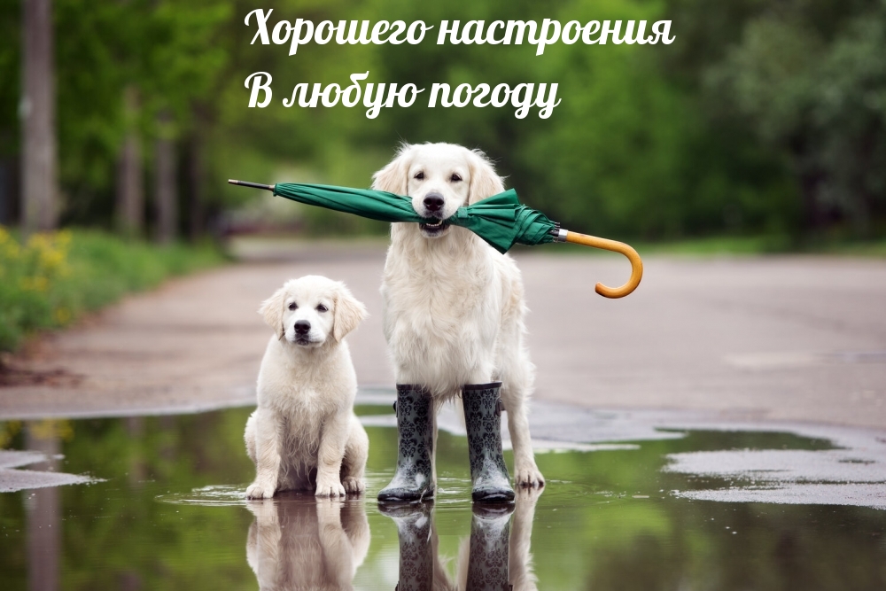 �������� ���������� � ����� ������.