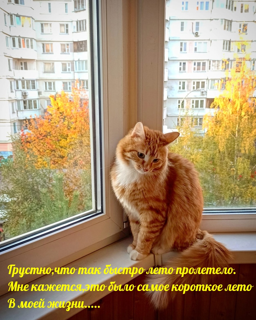 �������, ��� ��� ������ ���� ���������.