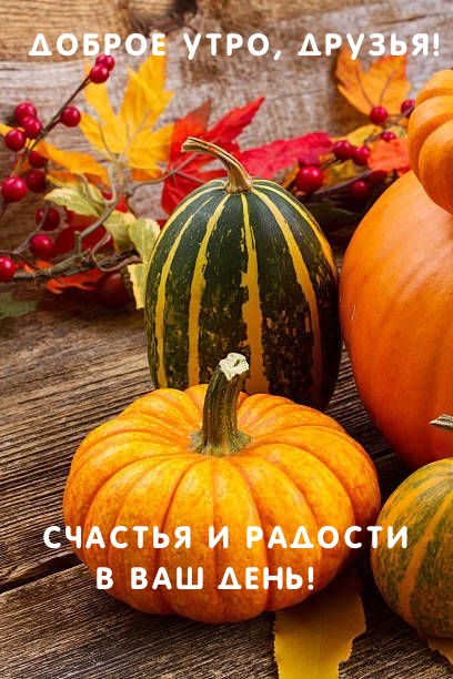 ������ ����, ������! ������� � ������� � ��� ����!
