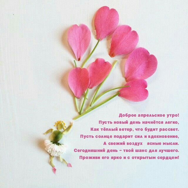 ������ ���������� ����! ����� ����� ���� �������� �����