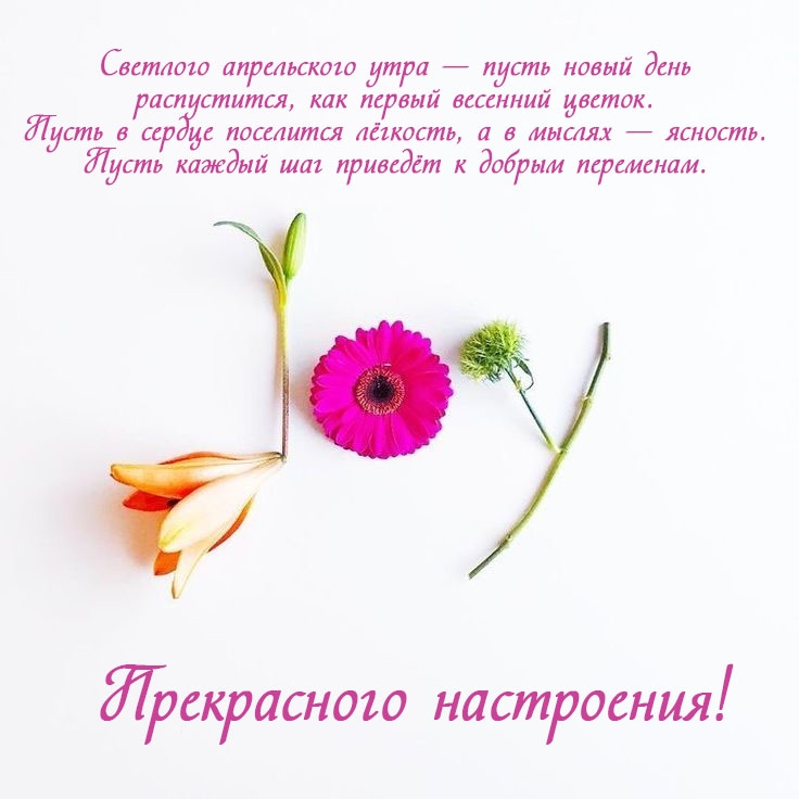 �������� ����������� ���� � ����� ���� �����������, ��� ������ �������� ������.