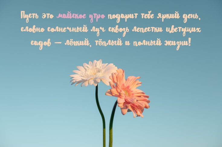 ����� ��� ������� ���� ������� ���� ����� ����