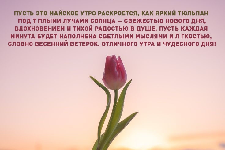 ����� ��� ������� ���� ����������, ��� ����� ������� 