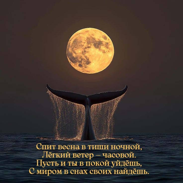 ���� ����� � ���� ������, ����� ����� � �������..