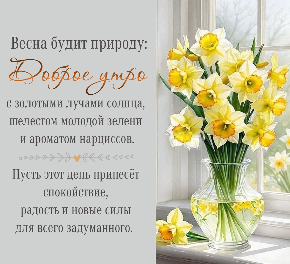 ����� ����� �������: ������ ���� � �������� ������ ������ - �������� � ���������