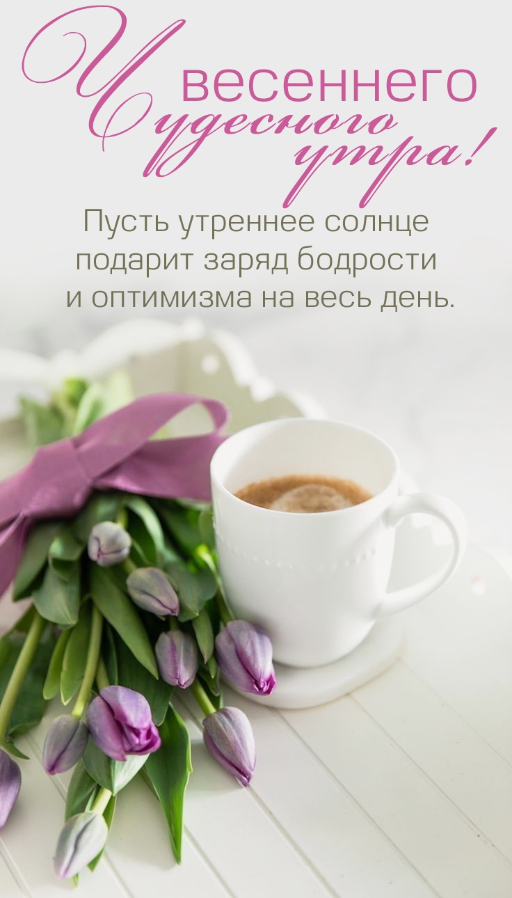 ����� �������� ������ ������� ����� �������� - �������� � ���������