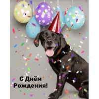 � ���� ��������!
