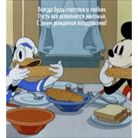 ������ ���� �������� � �����.