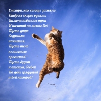 ����� ����  ���������  ��������