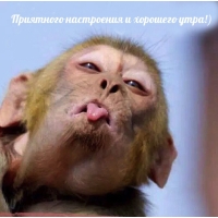 ��������� ���������� � �������� ����!)