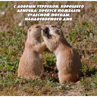 � ������ ��������, �������� �������!