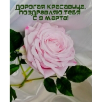 ������� ���������, ���������� ���� � 8 �����!