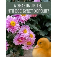 � ������ �� ��, ��� �� ����� ������?