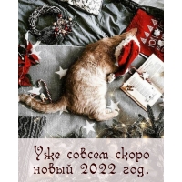 ��� ������ ����� ����� 2022 ���.