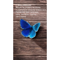 � ���� ��������! ����� �� ������� �� �����
