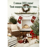 � ����� 2022 �����! ���� ������� ��� ��� ����.