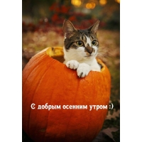 � ������ ������� ����� :)