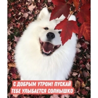� ������ �����! ������ ���� ��������� ��������