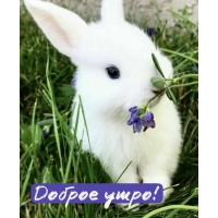 ������ ����!
