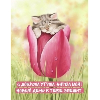� ������ �����, ����� ���! ����� ���� � ���� ������.