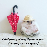 � ������ �����! ����� ����� ������, ��� � ������!